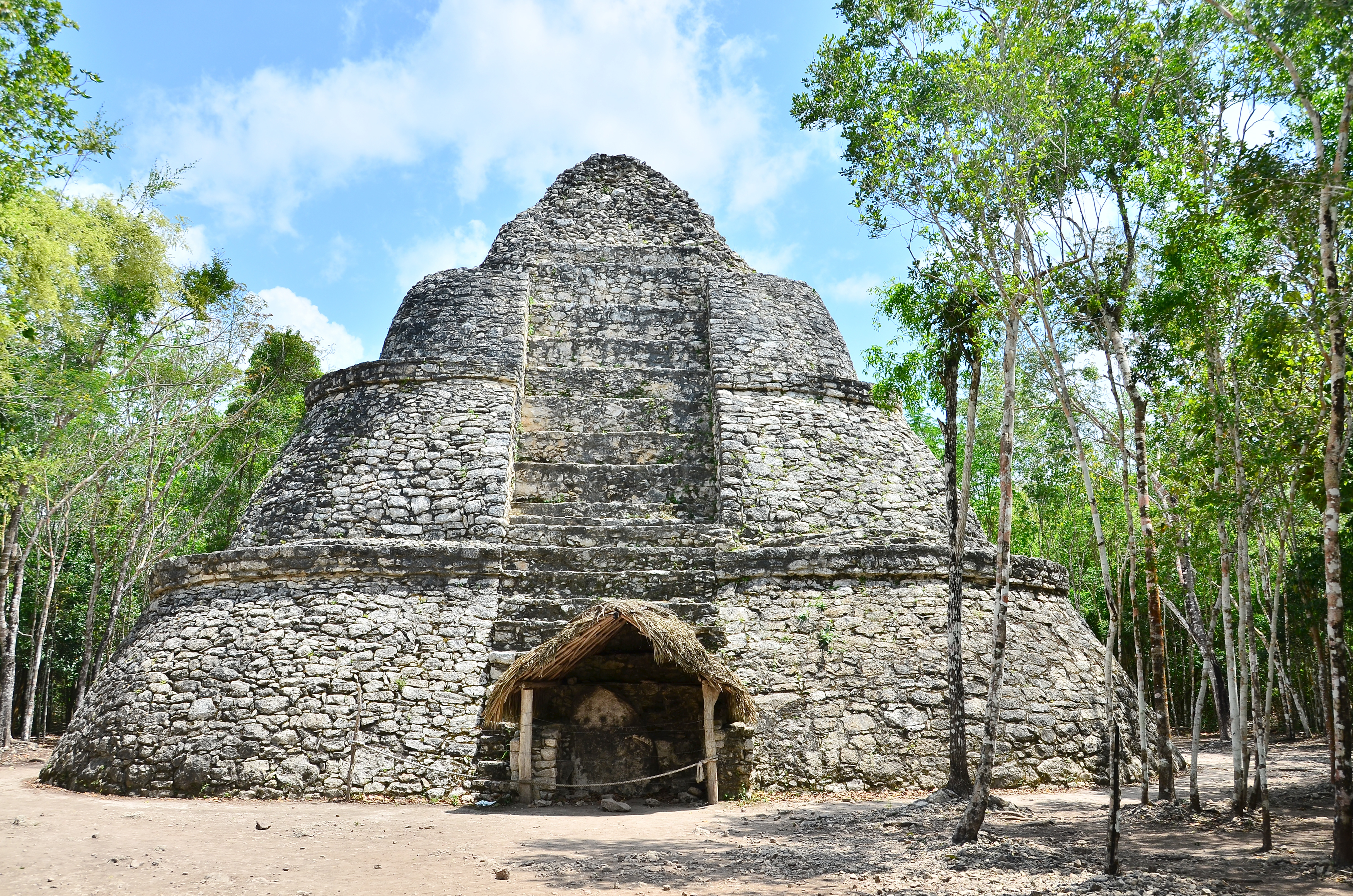 Coba & Cenote Maya