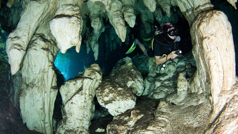 Cenotes & Cavernas