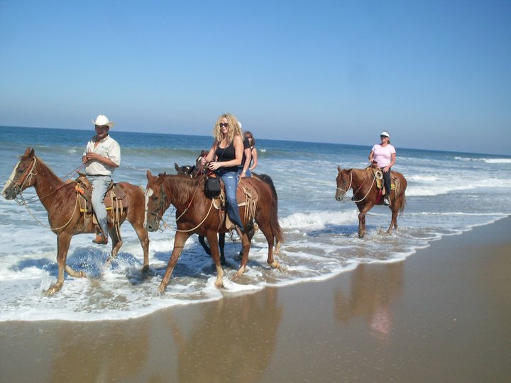 Horseback Riding