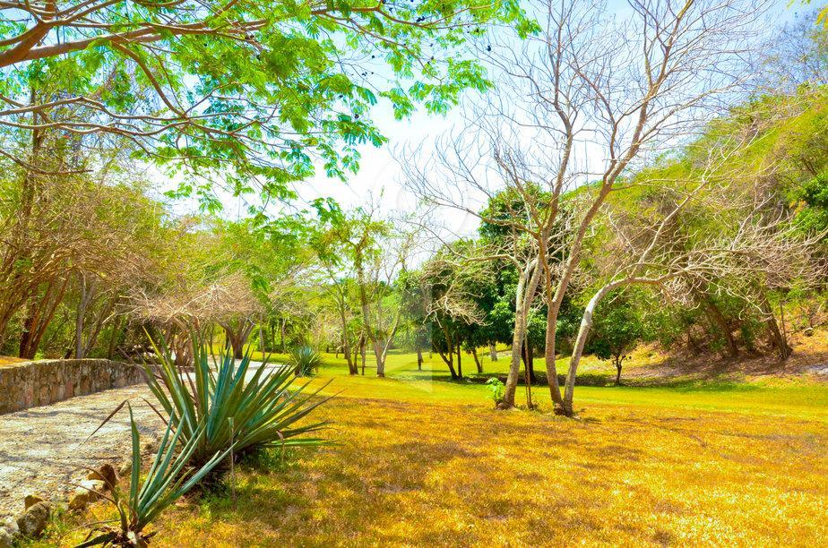 Zipline Paradise View