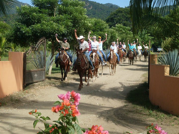 Canopy & Horseback riding 